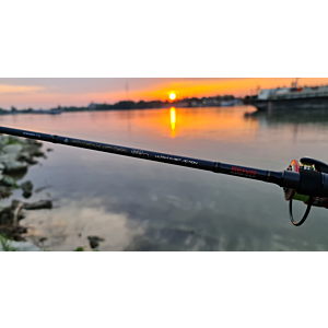 Lanseta Reiva FineMaster 220 5-21g