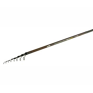 Bologneza Nevis Whisper 6m