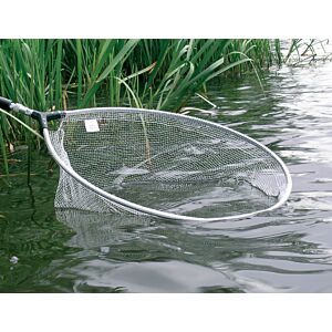 Nevis Cap minciog Super Bream