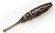 Shad Lake Fork Live Baby 2.25 inch .Black Magic 15/pac