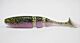 Shad Lake Fork Live Baby 2.25 inch.Violet Shad 15/pac