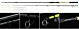 Lanseta Nevis Barbel River Feeder 270XXH 60-180gr
