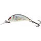 Vobler Salmo Hornet Sinking 2.5cm 1.5g Real Dace