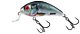 Vobler Salmo Rattlin Hornet Shallow 3.5cm 3g Real Dace F